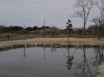 つつじが岡公園の写真のサムネイル写真23