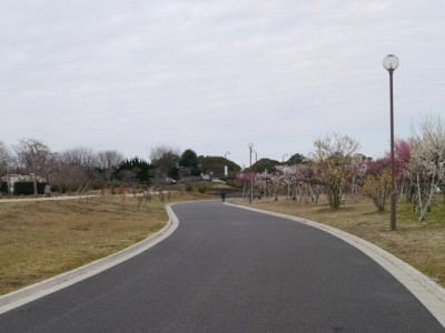 つつじが岡公園の写真25