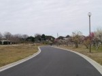 つつじが岡公園の写真のサムネイル写真25