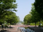 つつじが岡公園の写真のサムネイル写真31