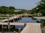 つつじが岡公園の写真のサムネイル写真37