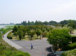 つつじが岡公園の写真のサムネイル写真45