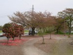 近藤沼公園の写真のサムネイル写真3