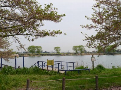 近藤沼公園の写真4