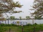 近藤沼公園の写真のサムネイル写真4