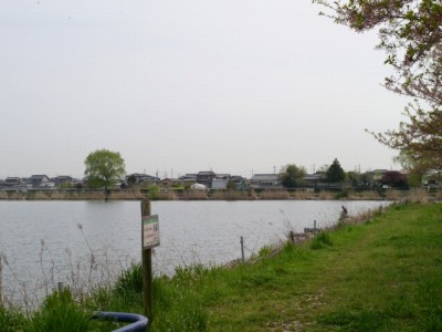 近藤沼公園の写真6