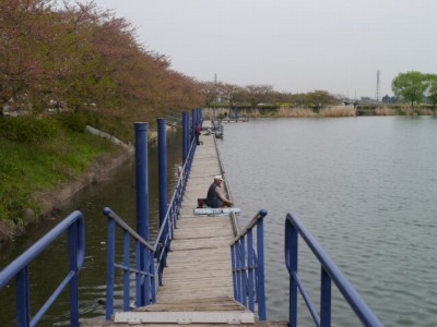 近藤沼公園の写真8