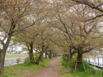 近藤沼公園の写真のサムネイル写真11