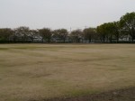 近藤沼公園の写真のサムネイル写真12