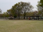 近藤沼公園の写真のサムネイル写真15