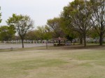 近藤沼公園の写真のサムネイル写真21