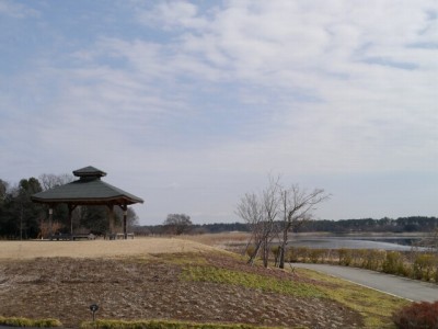 多々良沼公園の写真