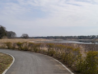 多々良沼公園の写真2