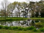 多々良沼公園の写真のサムネイル写真7