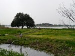 多々良沼公園の写真のサムネイル写真9