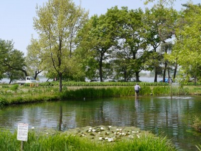 多々良沼公園の写真13