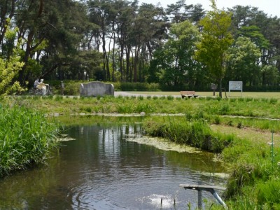 多々良沼公園の写真16