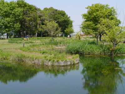 多々良沼公園の写真21