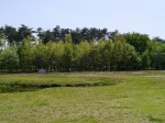 多々良沼公園の写真のサムネイル写真26