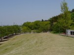 多々良沼公園の写真のサムネイル写真33