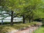 多々良沼公園の写真のサムネイル写真36