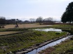 多々良沼公園の写真のサムネイル写真39