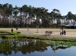 多々良沼公園の写真のサムネイル写真41