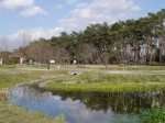 多々良沼公園の写真のサムネイル写真43