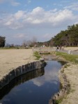 多々良沼公園の写真のサムネイル写真50