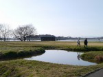 多々良沼公園の写真のサムネイル写真51