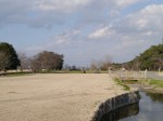 多々良沼公園の写真のサムネイル写真55