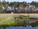 多々良沼公園の写真のサムネイル写真57