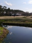 多々良沼公園の写真のサムネイル写真59