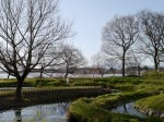 多々良沼公園の写真のサムネイル写真61