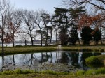 多々良沼公園の写真のサムネイル写真62