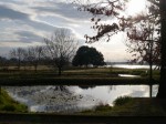 多々良沼公園の写真のサムネイル写真64