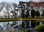 多々良沼公園の写真のサムネイル写真65