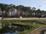 多々良沼公園の写真のサムネイル写真72