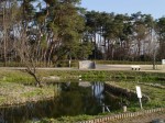 多々良沼公園の写真のサムネイル写真75