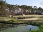 多々良沼公園の写真のサムネイル写真76