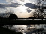 多々良沼公園の写真のサムネイル写真78