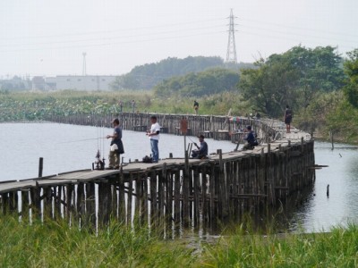 多々良沼公園の写真81