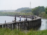 多々良沼公園の写真のサムネイル写真81