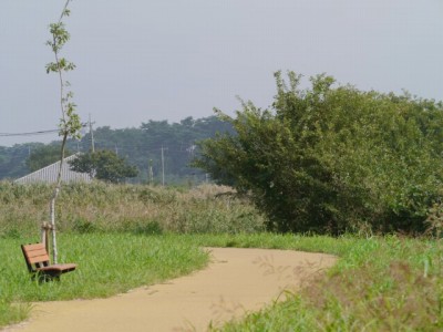 多々良沼公園の写真83