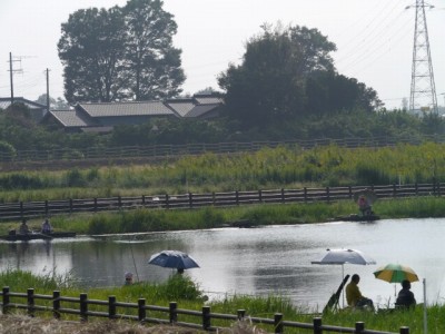 多々良沼公園の写真86