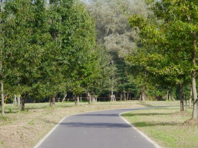 多々良沼公園の写真10