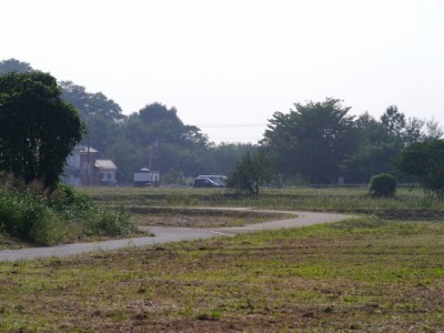 多々良沼公園の写真14