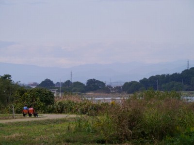 多々良沼公園の写真16