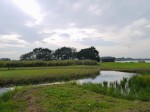 多々良沼公園の写真のサムネイル写真111