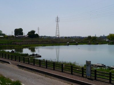 ガバ沼の白鳥飛来地（多々良沼）の写真